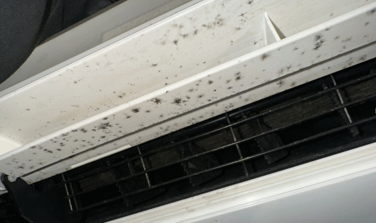 Screenshot 2025 06 03 at 11.39.36 AM Service of the Month: Window AC Services - Beware of Non Professional Service Providers